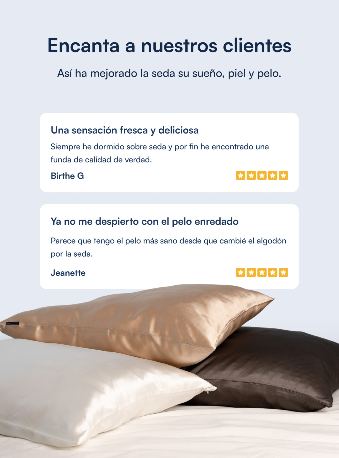Funda de almohada 100 % seda de morera (OEKO-TEX) - Beige