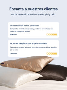 Funda de almohada 100 % seda de morera (OEKO-TEX) - Beige